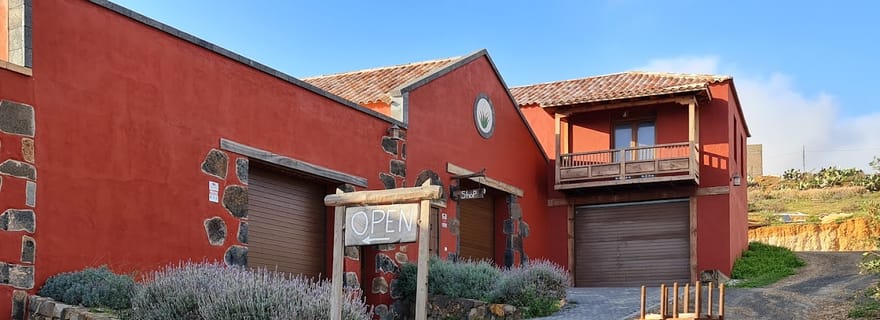 Fuerteventa : Excursion d'une demi-journée aux grottes des pirates d'Ajuy et à la fabrique d'aloès