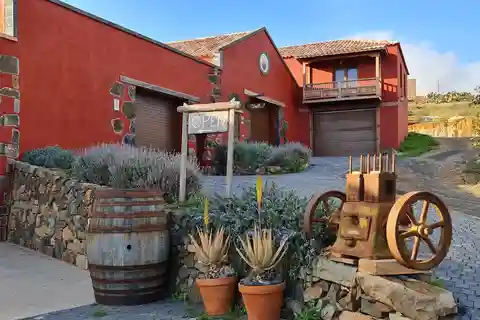Fuerteventa: Ajuy Pirate Caves & Aloe Factory Half-Day Trip