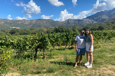 Degustação de vinhos em PatrimonioCasta