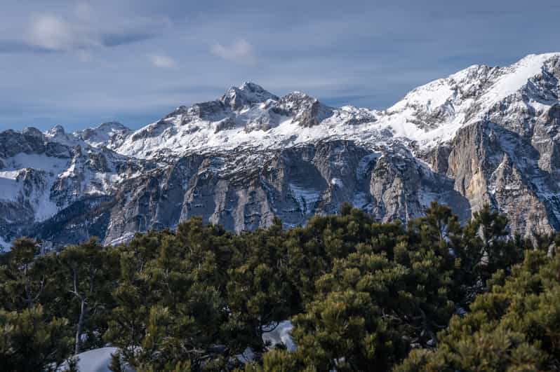 Galería de fotos para redes