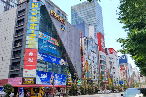 Akihabara Highlights Tour für Anime, Subkultur und Elektronik