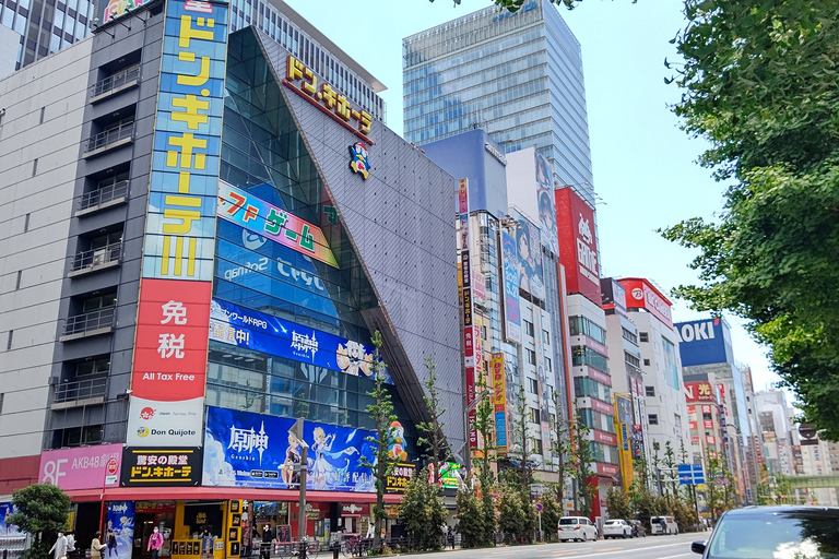 Akihabara Highlights Tour für Anime, Subkultur und Elektronik