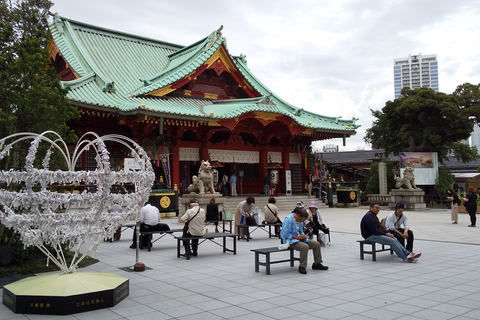 Akihabara Highlights Tour für Anime, Subkultur und Elektronik