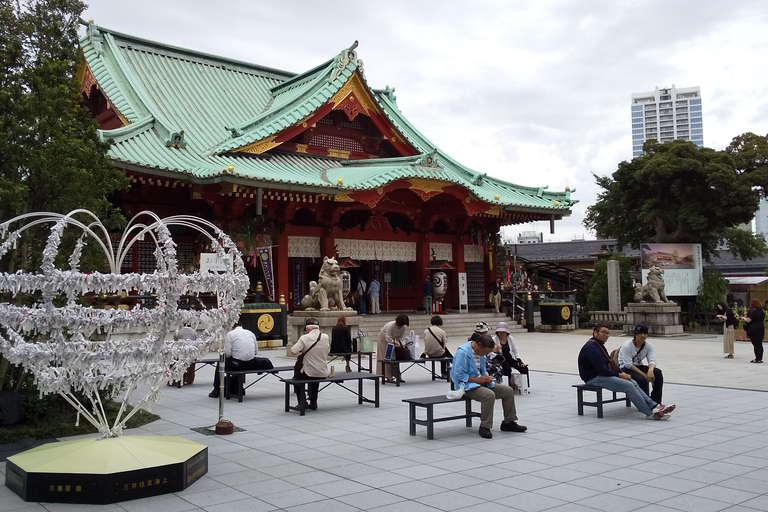 Akihabara Highlights Tour für Anime, Subkultur und Elektronik