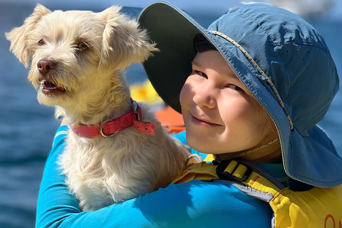 Santorini: Sea Caves Kayak Trip with Snorkeling and Picnic