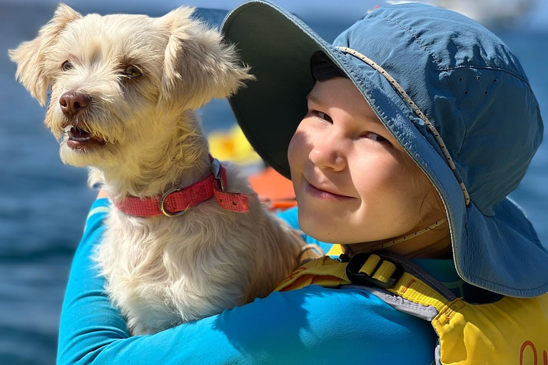 Santorini: Sea Caves Kayak Trip with Snorkeling and Picnic