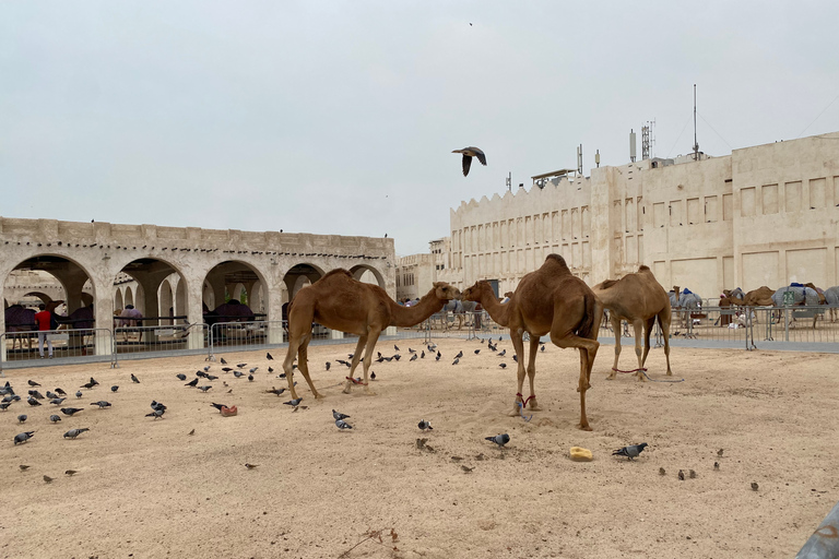 Doha: Shore Excursion - Souq Waqif & Msheireb Food & Culture