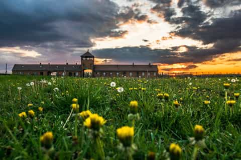 Krakow: Auschwitz-Birkenau Tour with Pickup & Lunch Option