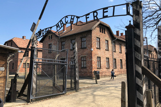 From Krakow: Auschwitz-Birkenau Guided Tour & Pickup