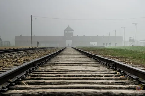 From Krakow: Auschwitz-Birkenau Guided Tour & Transportation
