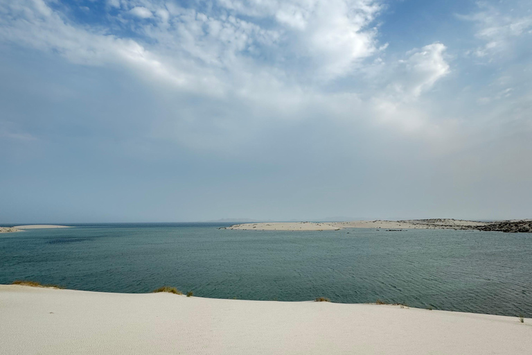 Desert Safari Qatar Camel Sandbording sunrise/sunset tour