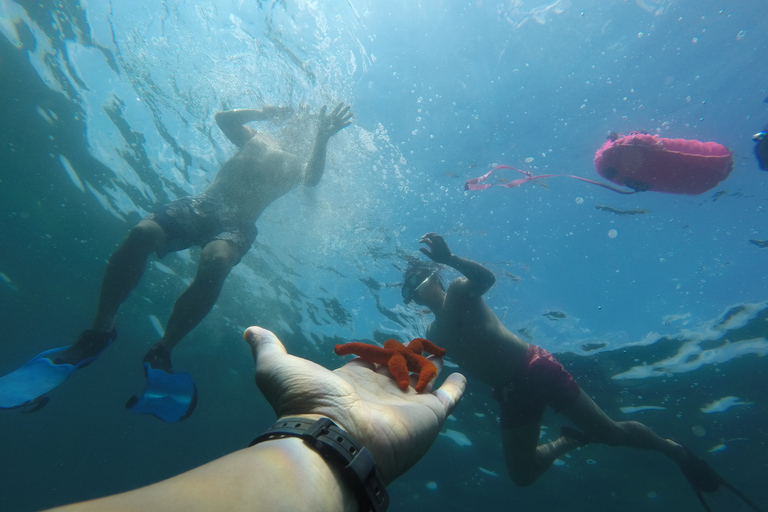 Marseille : Aventure de plongée en apnée à Endoume avec collations et boissonsMarseille : Aventure de snorkeling à Endoume avec snacks et boissons