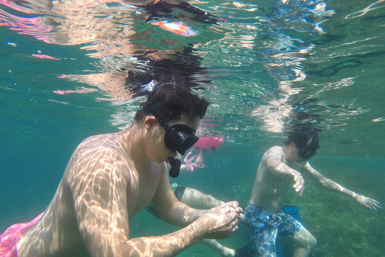 Marseille : Aventure de plongée en apnée à Endoume avec collations et boissonsMarseille : Aventure de snorkeling à Endoume avec snacks et boissons