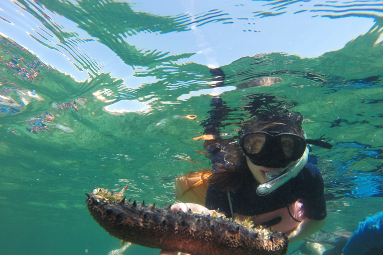 Marseille : Aventure de plongée en apnée à Endoume avec collations et boissonsMarseille : Aventure de snorkeling à Endoume avec snacks et boissons