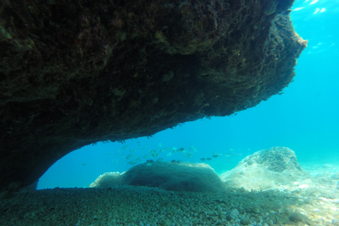 Marseille : Aventure de plongée en apnée à Endoume avec collations et boissonsMarseille : Aventure de snorkeling à Endoume avec snacks et boissons