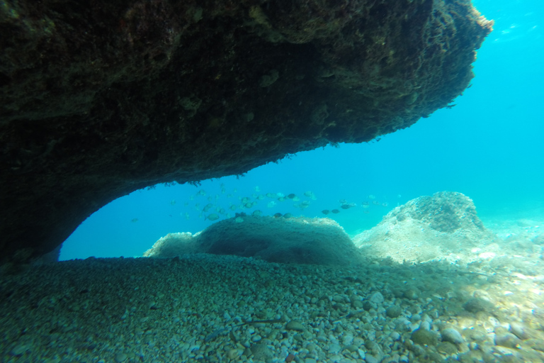 Marseille : Aventure de plongée en apnée à Endoume avec collations et boissonsMarseille : Aventure de snorkeling à Endoume avec snacks et boissons