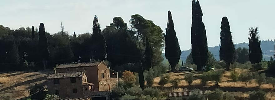 Excursions privées à Pise et Florence depuis Livourne