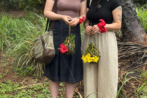 Zanzibar: Spice Farm, Jozani Forest & Salaam Cave Tour Private tour without hotel transfer