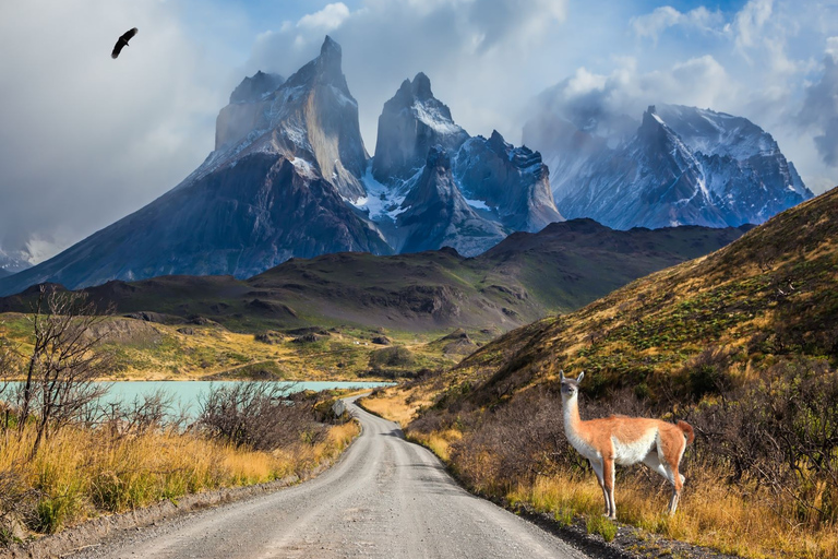 Torres del Paine: W Trek Express Flight Arriving at Puerto Natales Airport