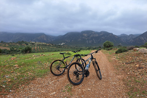 Fast day in Zaghouan: archaeology and adventure