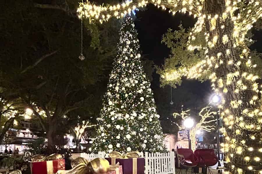 St. Pete: Weihnachtslichter-Tour im Golfcart. Foto: GetYourGuide St. Pete: Weihnachtslichter-Tour im Golfcart. Foto: GetYourGuide