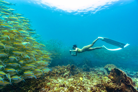 Ko Tao: Vintage Boat-Small Group Snorkeling Day Trip w/Meals
