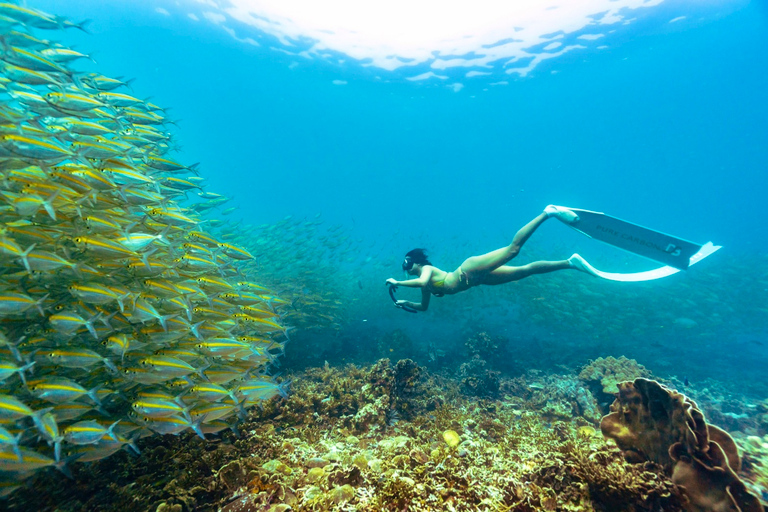 Ko Tao: Vintage Boat-Small Group Snorkeling Day Trip w/Meals