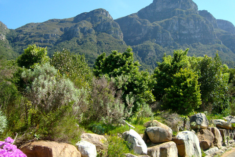 Le Cap : randonnée dans la Skeleton Gorge et les jardins de KirstenboschRandonnée guidée, Skeleton Gorge surplombant les jardins de Kirstenbosch