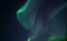 From Tromsø: Northern Lights Chase by Boat