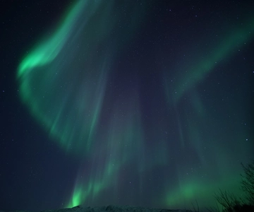 Tromsø: Evening Cruise with Northern Lights Opportunity