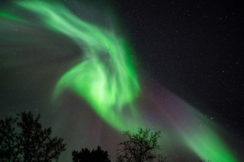 De Tromsø: Perseguição da aurora boreal de barco