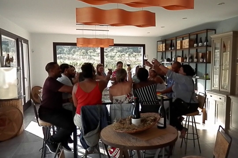 Private Winery Tour und Besuch in Ronda