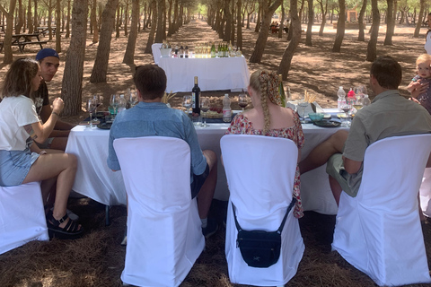 Wine Tour through the vineyards with tasting by Salt Lake