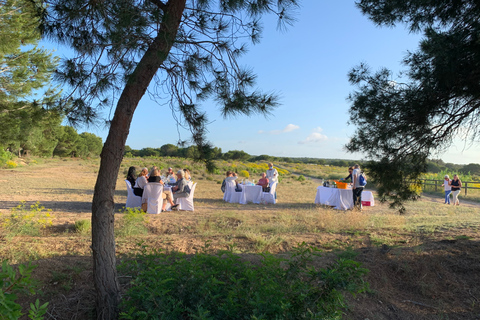 Wine Tour through the vineyards with tasting by Salt Lake