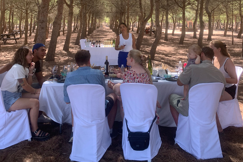 Wine Tour through the vineyards with tasting by Salt Lake