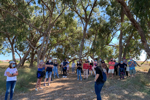 Wine Tour through the vineyards with tasting by Salt Lake
