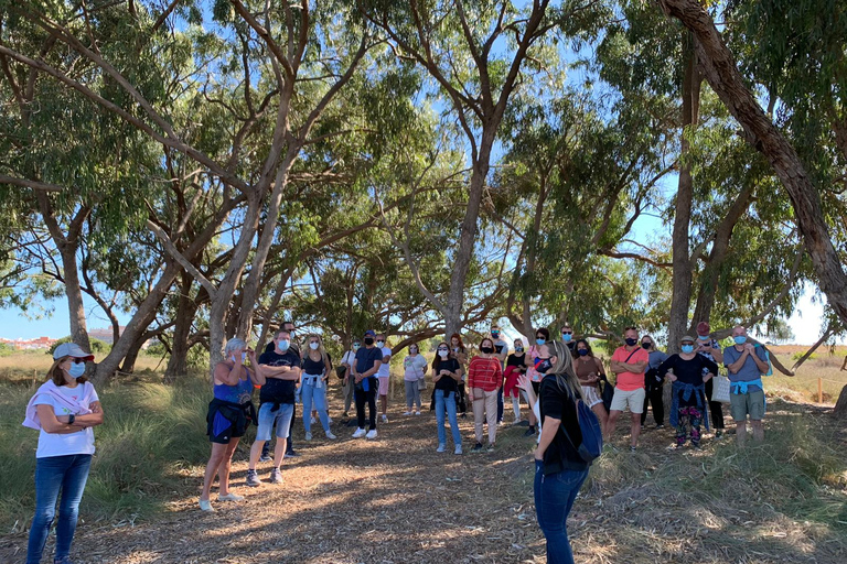 Wine Tour through the vineyards with tasting by Salt Lake