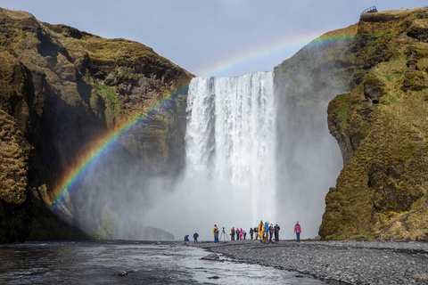 Von Reykjavik aus: Südküste, Flugzeugwrack und Strand ATV Tour