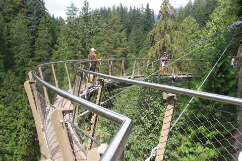 Ponte suspensa de Capilano/Tour particular de carro/Garantia de preço