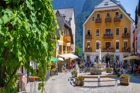 Au départ de Salzbourg : Excursion privée d'une demi-journée à la magie de Hallstatt