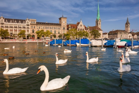 Zurich : chasse au trésor autoguidée