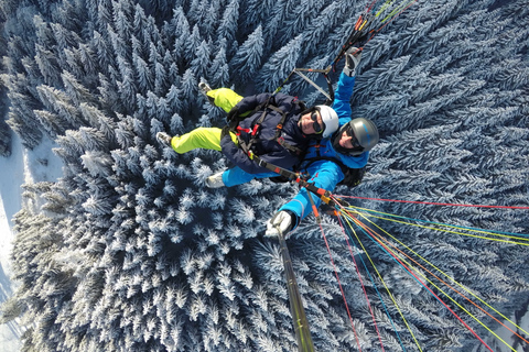 Zell am See: Schmittenhöhe Tandem Paragliding Flight