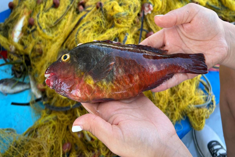 Santorini: excursão privada de pesca ao pôr do sol com almoço