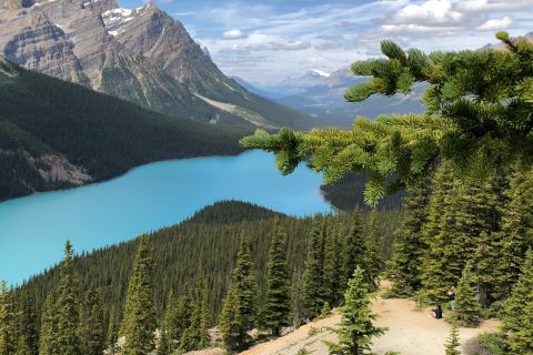 From Calgary: Icefields Parkway Route Tour w/Hotel Transfers