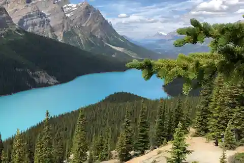 Private Icefields Parkway Tour w/ Lake Louise & Moraine Lake