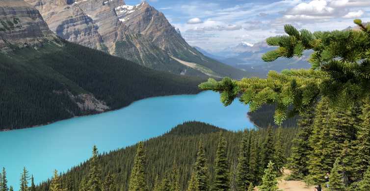 From Calgary Icefields Parkway Route Tour w Hotel Transfers GetYourGuide
