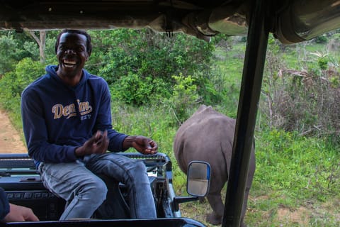 Saint Lucia: iSimangaliso Wetland Park Half-Day Trip w/Lunch