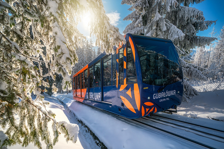 De Cracovie: excursion d'une journée dans les montagnes de Zakopane et des Tatras