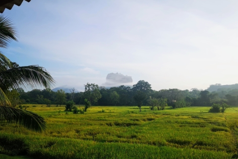 La vida rural de Sigiriya, observación de aves y recorrido por la selva a pie