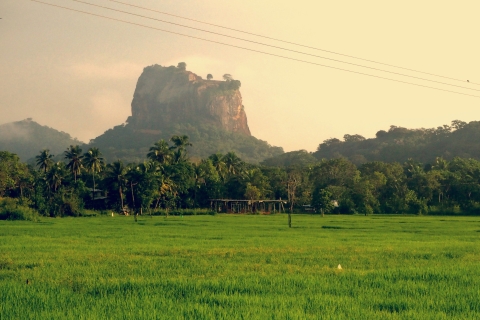 Sigiriya plattelandsleven, vogels kijken en jungletocht te voet